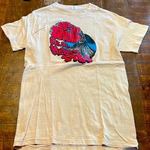 Vintage Hanes Tee Shirt